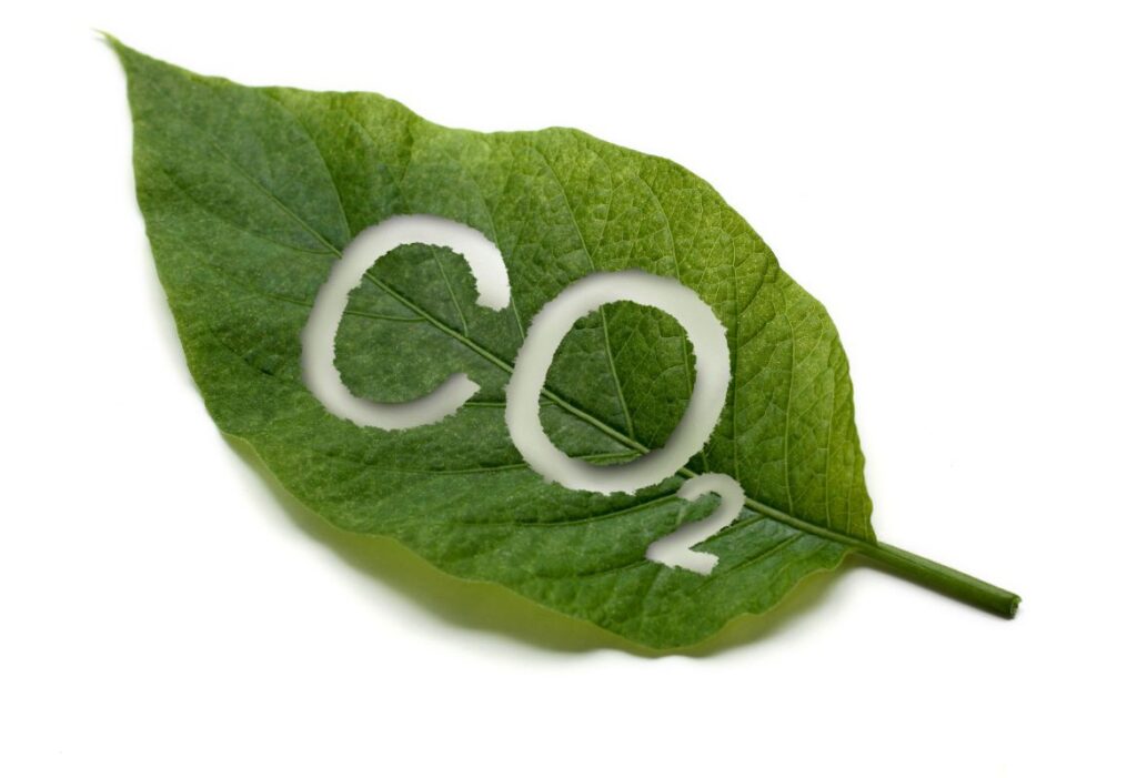 mercado de créditos de carbono
