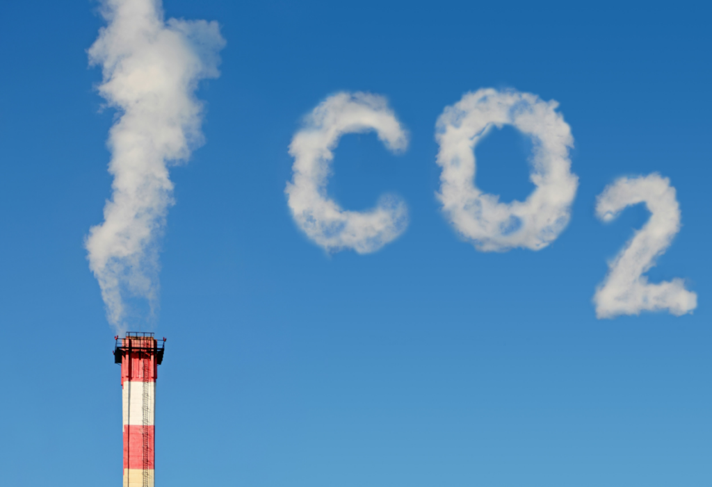mercado de créditos de carbono